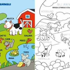 Libro Lettere e Parole 55675A