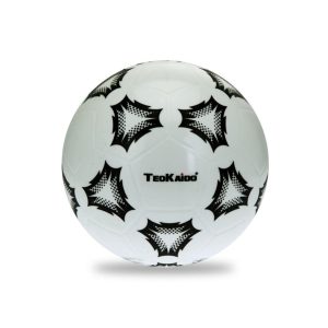 Pallone In Gomma- Teokaido