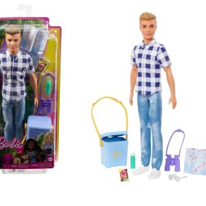 Barbie Family & Friends Ken